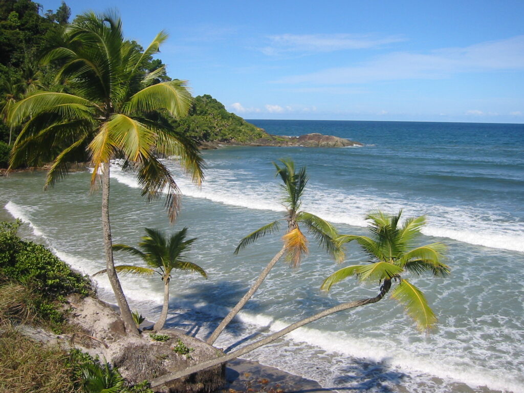 The Best Surfing Spots in Brazil 3 2277479851 2005d4f97a o
