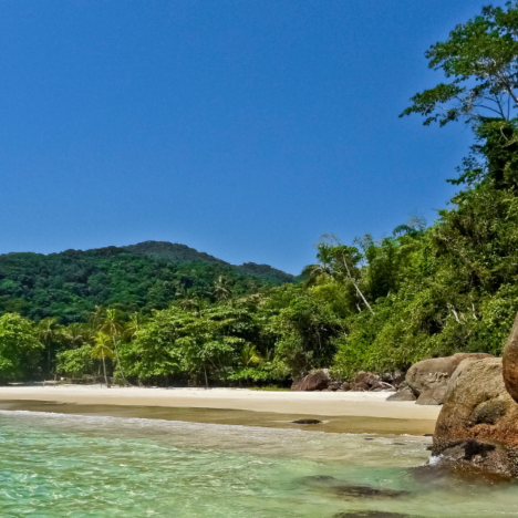 WSL Rio Pro 2025: Everything You Need To Know
