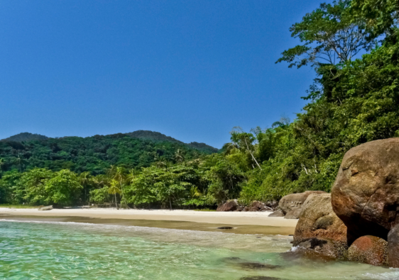 ilha grande