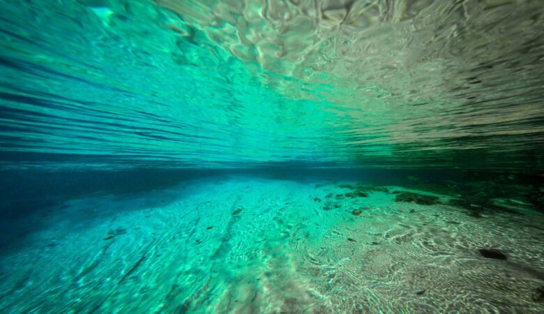 What To Do In Bonito: Best Attractions & Exciting Activities 1 what to do in bonito