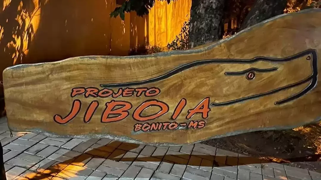 projeto jiboia 1.jpg edited