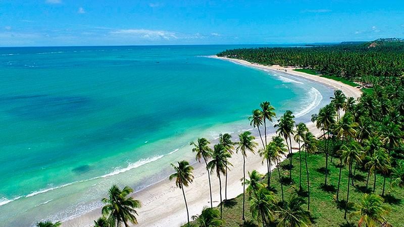 Best Beaches in Northeast Brazil 9 Passeios em Alagoas Maceio praia do patacho